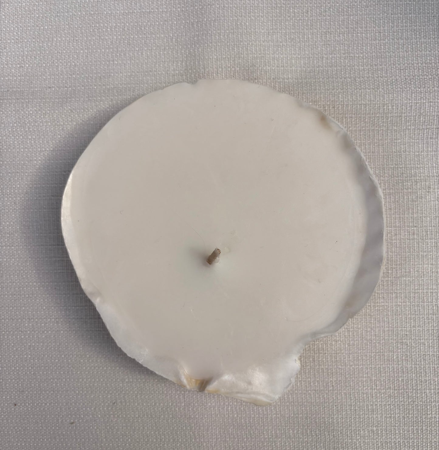 Shell Candle