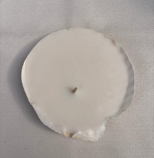 Shell Candle